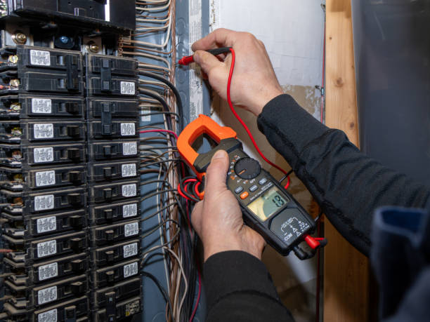 Best Electrical System Inspection  in Rockford, MI